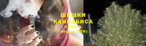 MESCALINE Бородино
