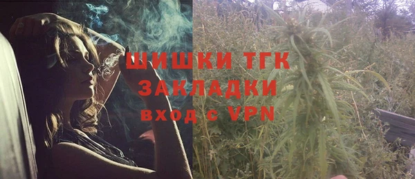 крисы Бронницы