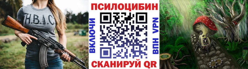 Псилоцибиновые грибы Cubensis  площадка официальный сайт  Новохопёрск  закладки 